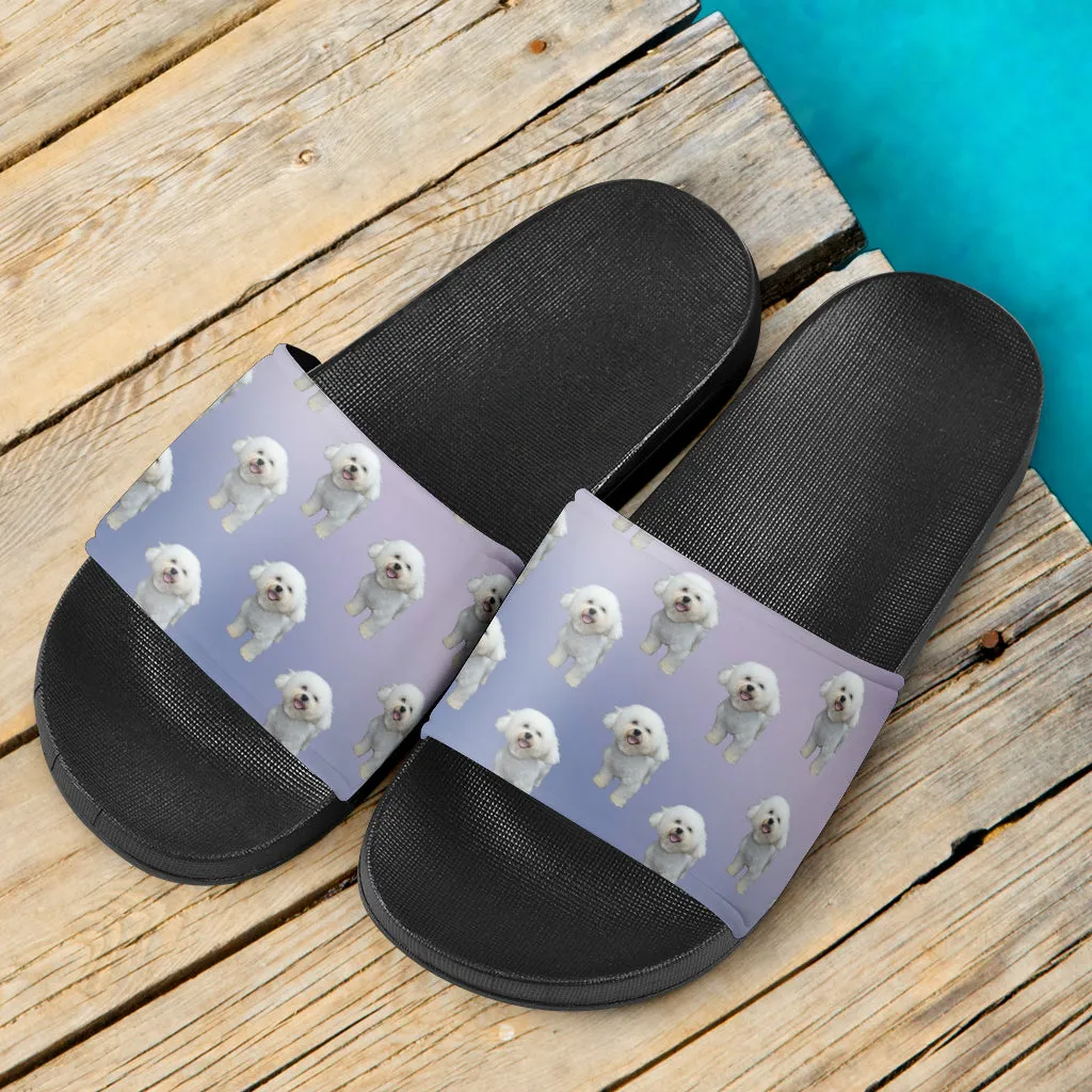 Bichon Slides - Purple