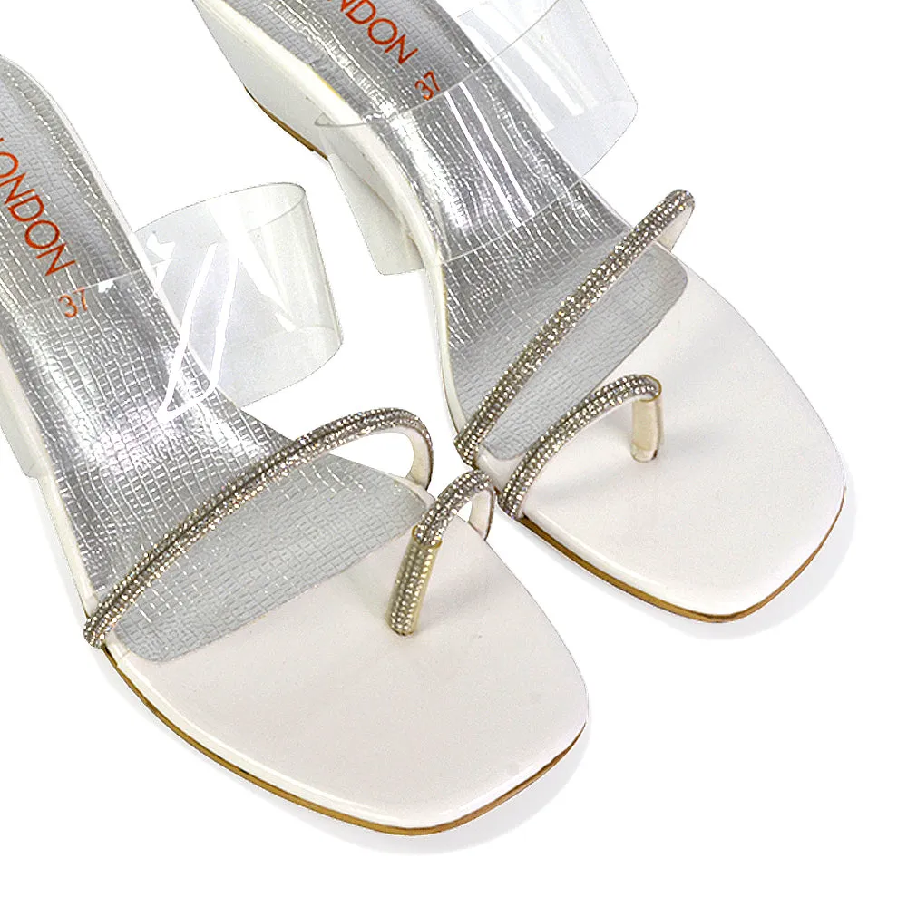 Hayes Perspex Strappy Toe Post Diamante Wedge Heel Sandals in Silver